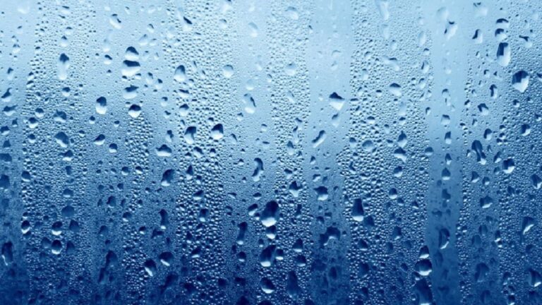 Moisture and Humidity Effects on Paper Storage