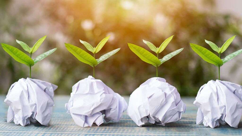 Recycled vs. Virgin Paper: Pros and Cons