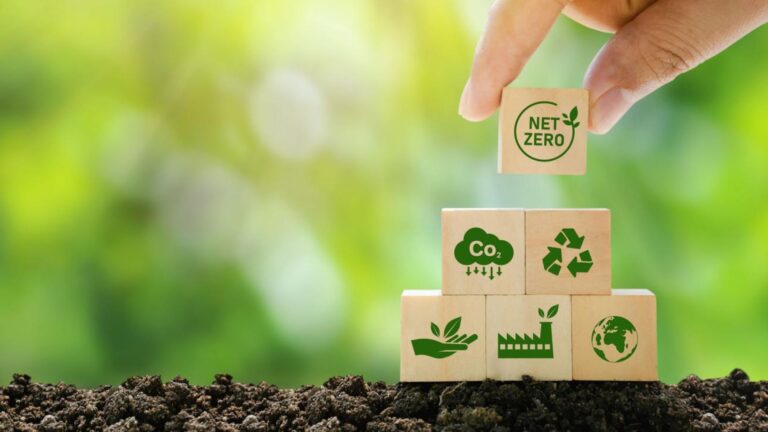Sourcing Sustainable Binding Materials