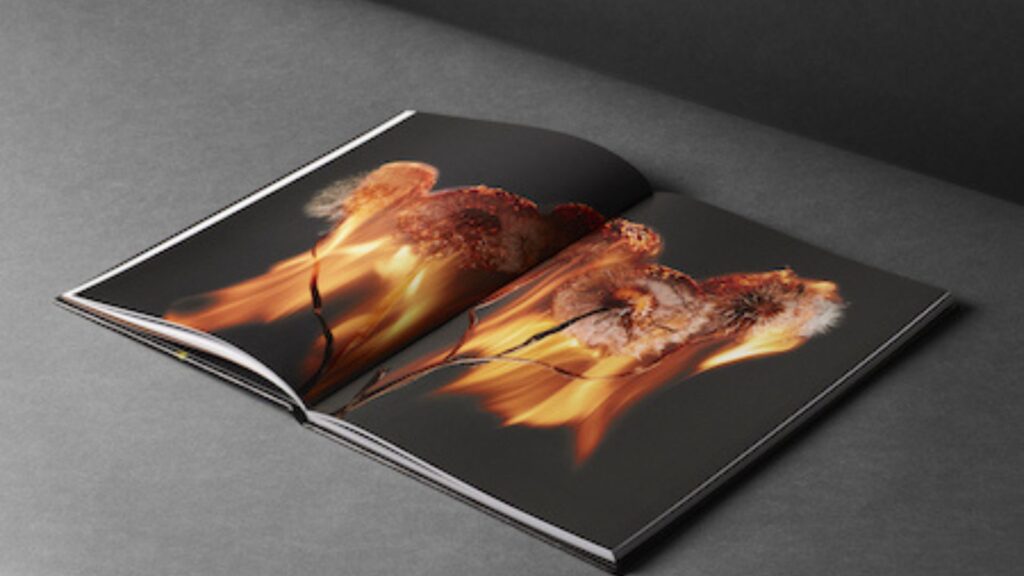 Specialty Papers for Art Books and Portfolios