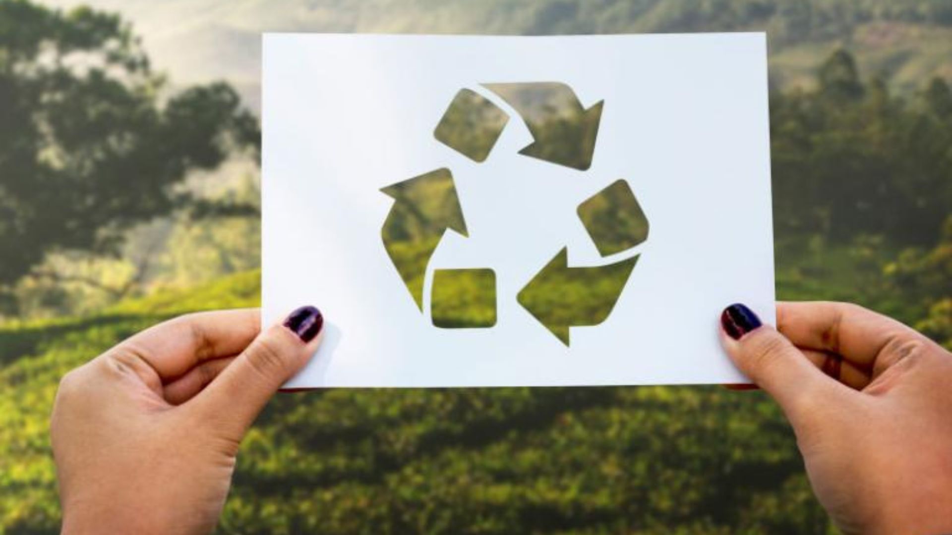Sustainable Paper For Eco Printing