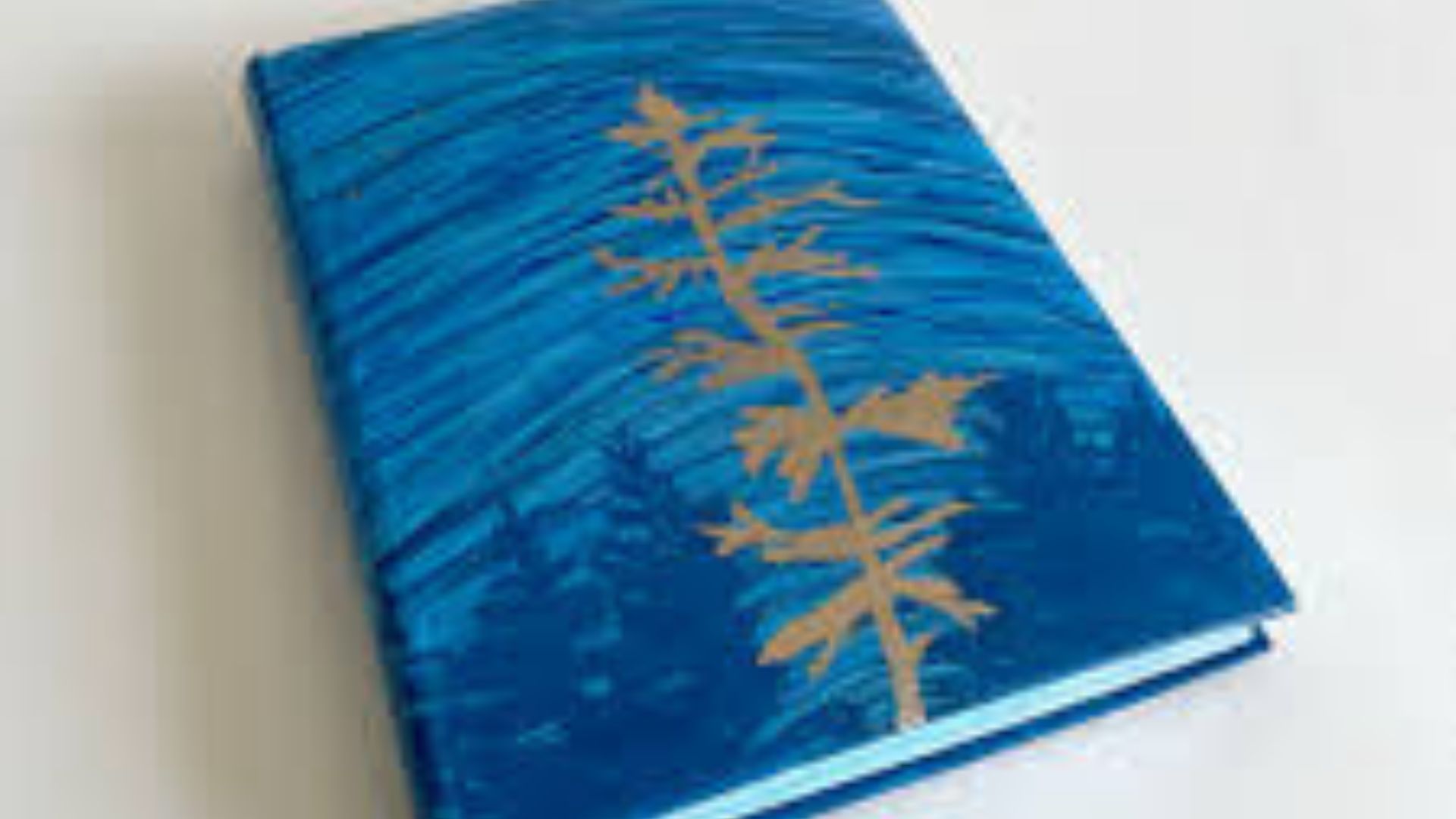 Trendy Designs In Custom Binding